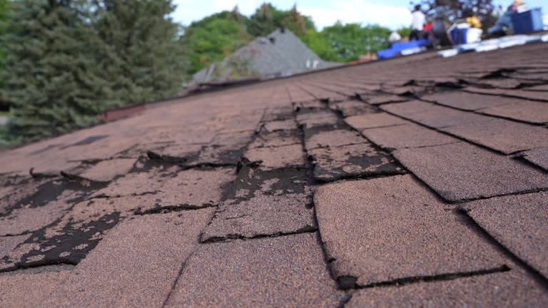 Best Rubber Roofing (EPDM, TPO)  in Cameron, MO